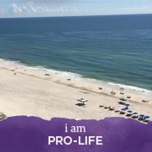 Meet your Posher, Candy